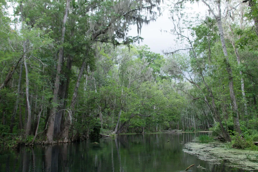 Ichetucknee Springs, Florida