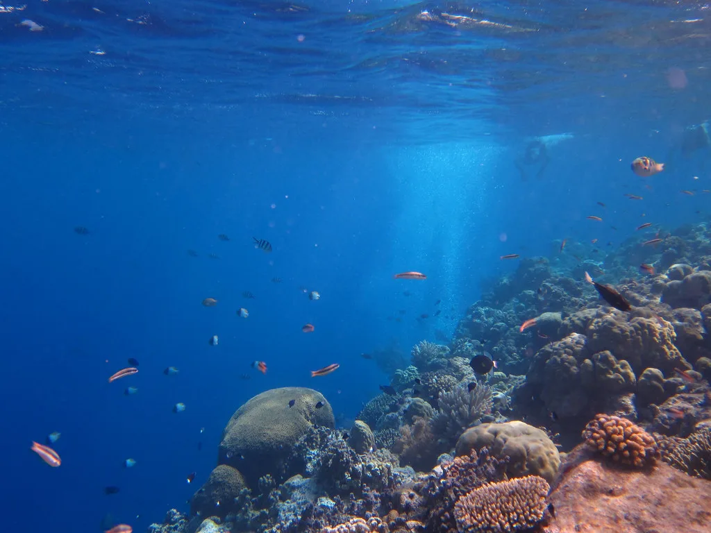 Sunlight on a coral reef in deep blue water