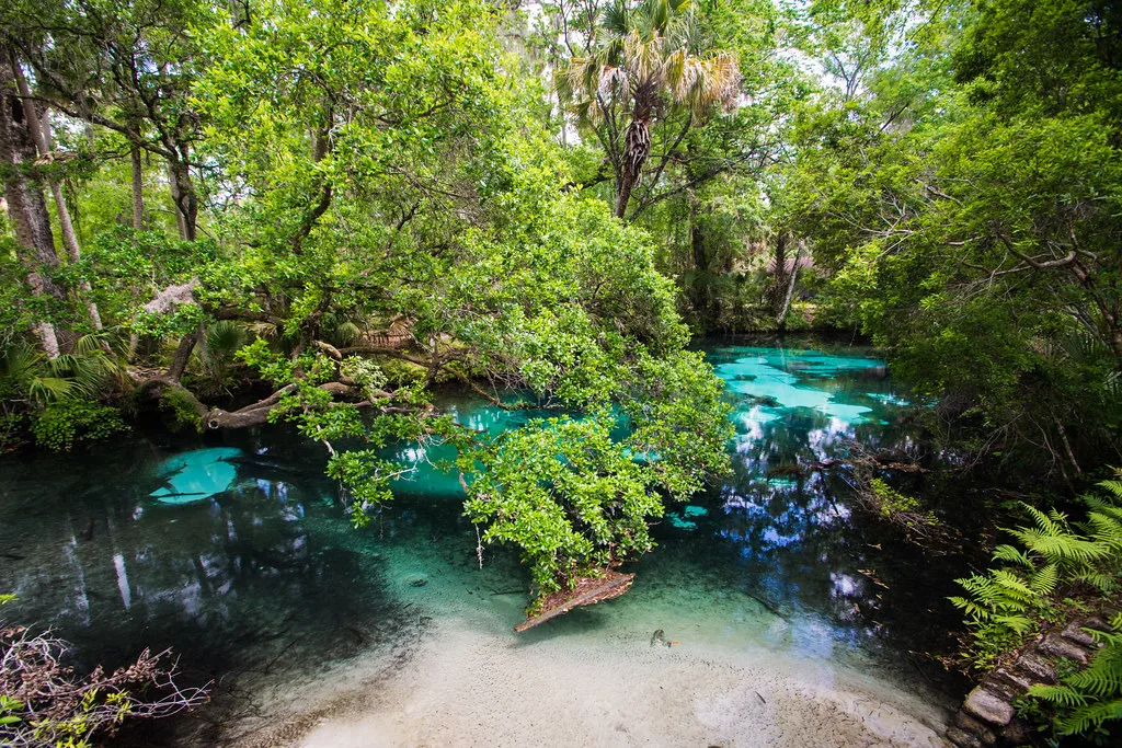 Juniper Springs in Ocala National Forest, Florida