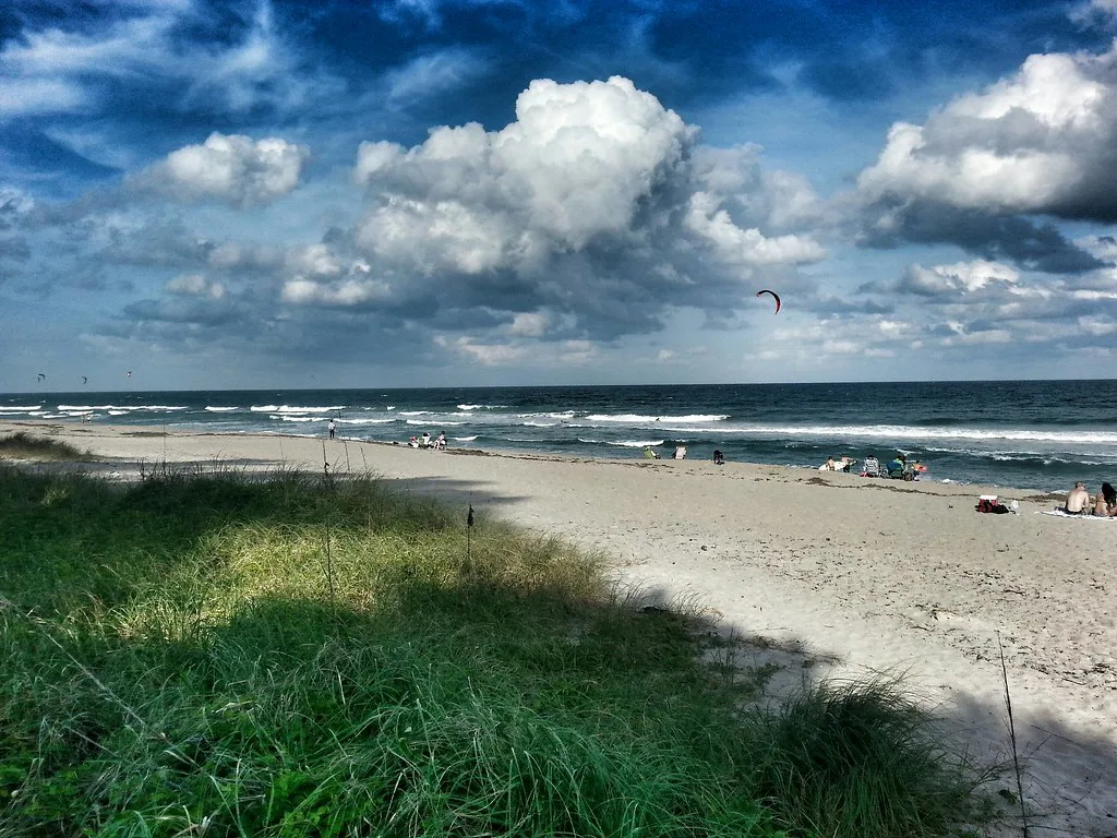 Dune grass and beach in Palm Beach County, Florida