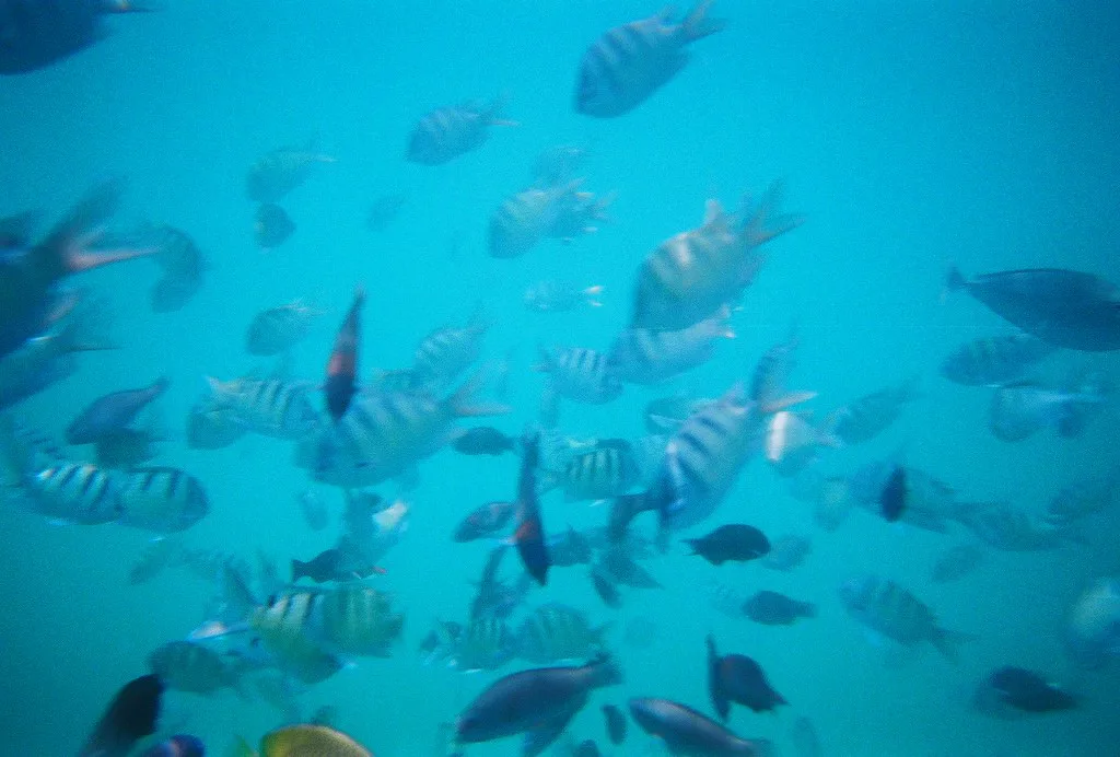 Oahu, Hawaii