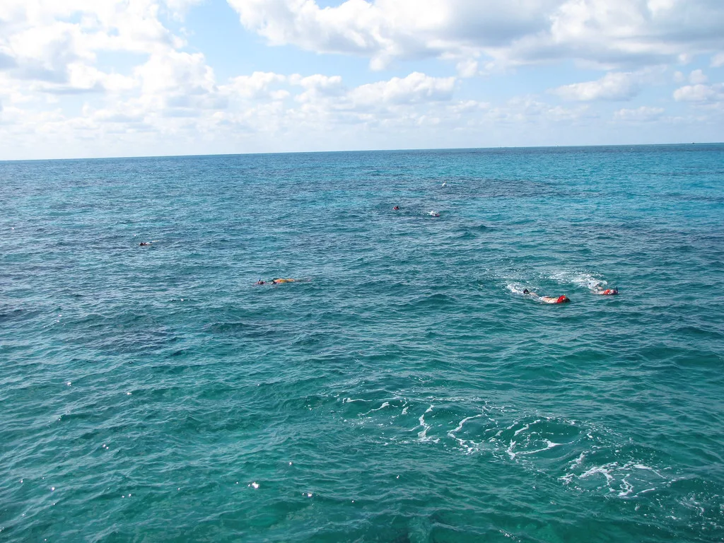 Snorkeling at Key Largo