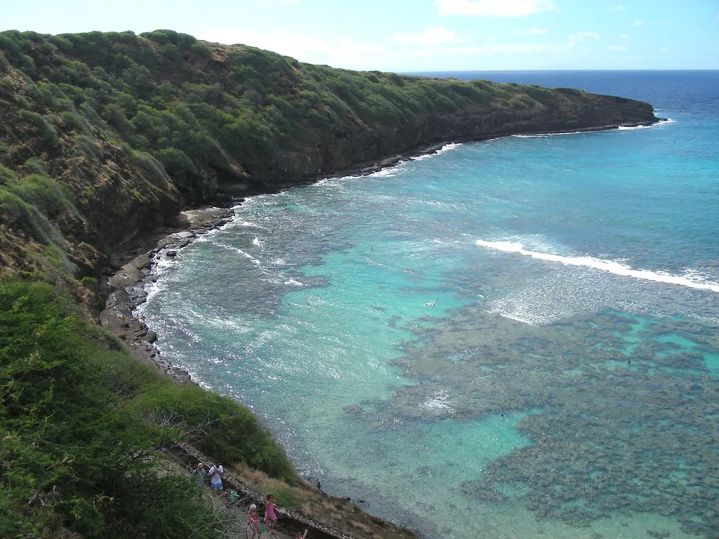 Reef close to the beach, Oahu