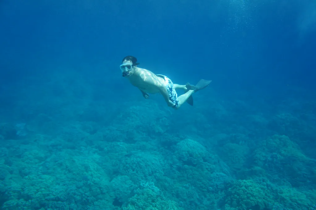 Snorkeling, Big Island