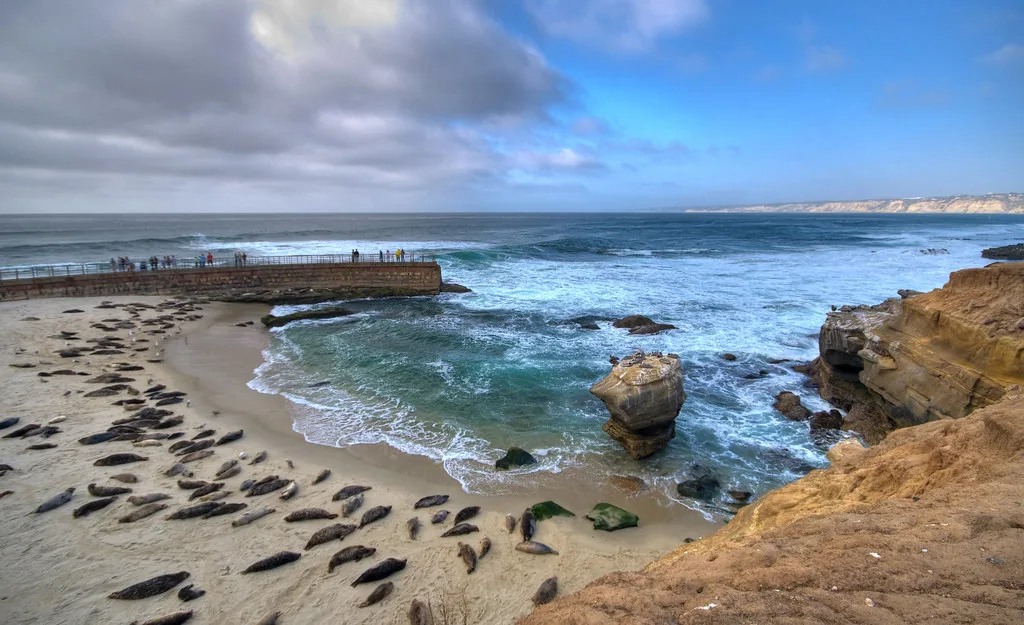 la jolla beach
