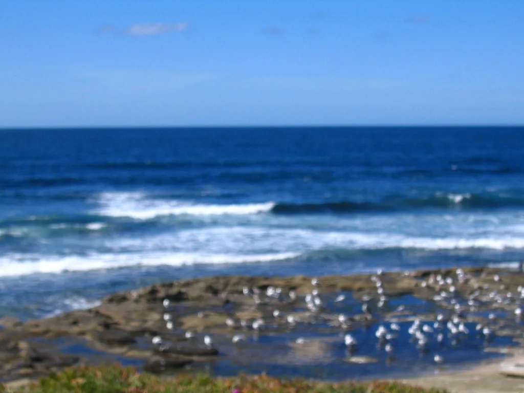 La Jolla Coast