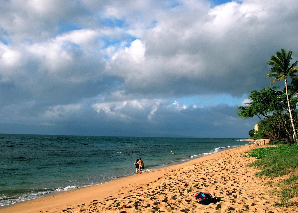 Palm-fringed beach on Maui, Hawaii