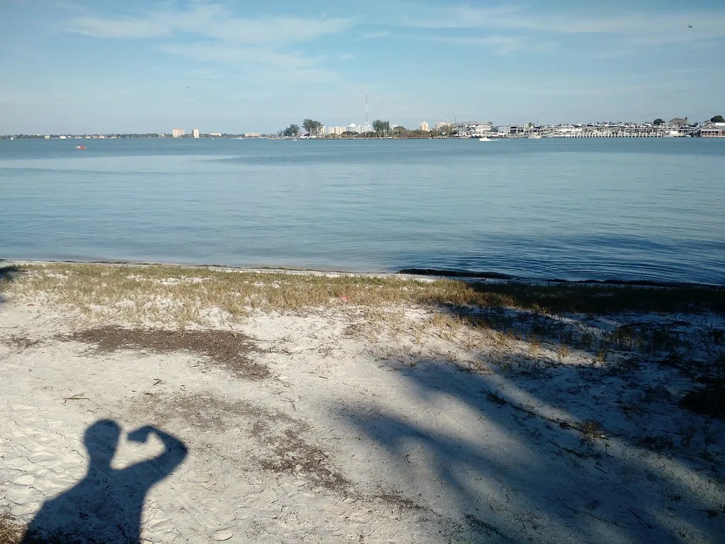 self-sand-sarasota