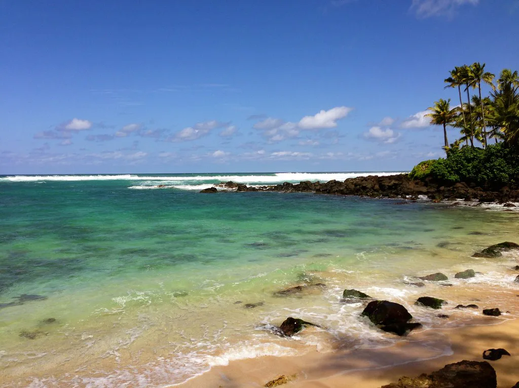 Snorkeling at Turtle Beach, Oahu