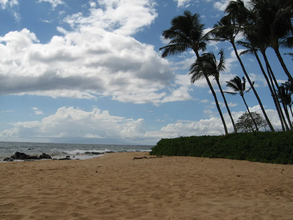 Sandy beach and palms on Maui, Hawaii