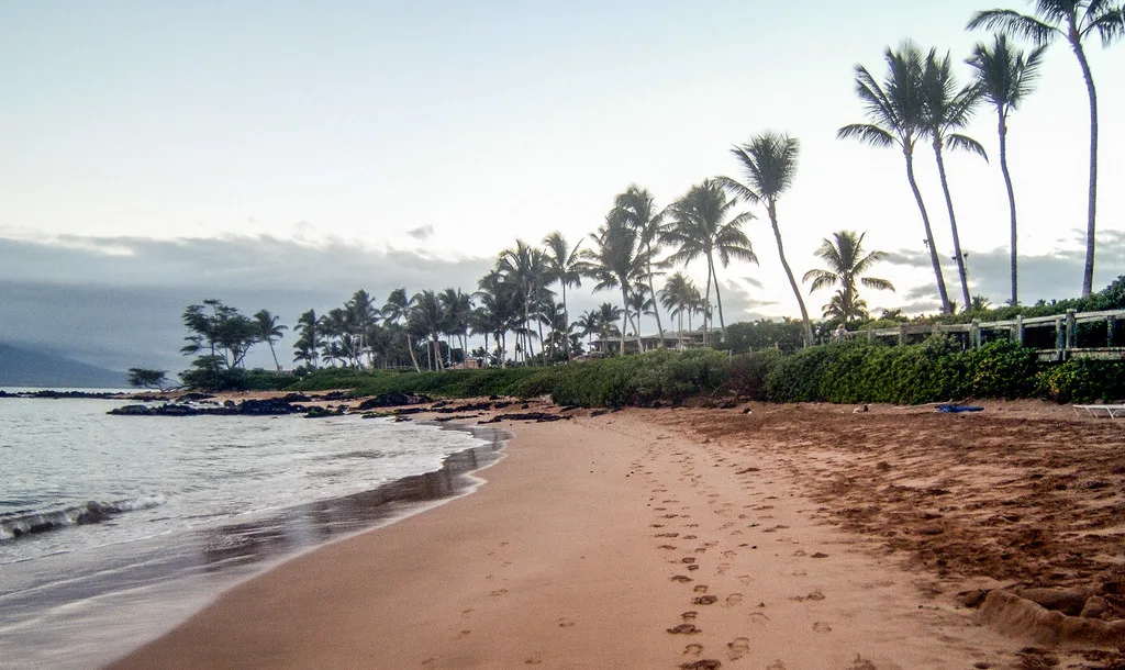 Palm-lined beach and lava rock shoreline, Maui, Hawaii