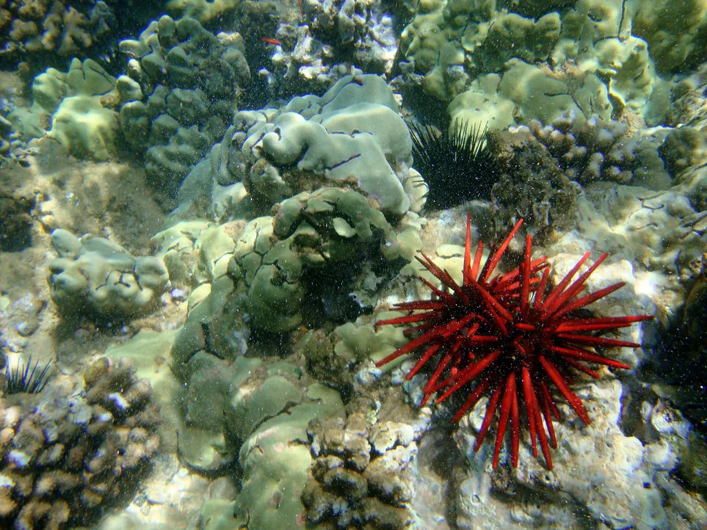 Maui, Hawaii