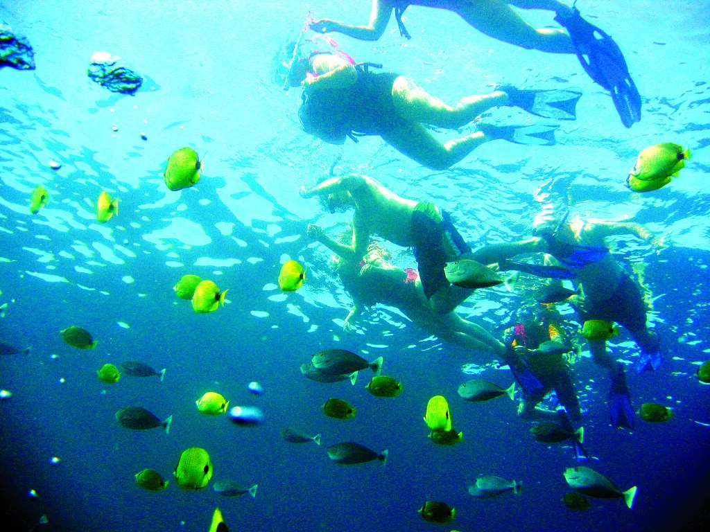 Makena Kayak and Snorkel Tour, Maui