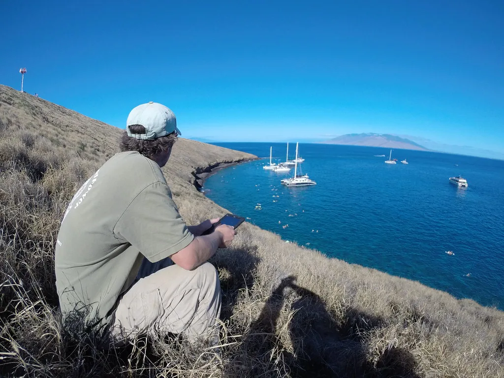 starr- - -Cenchrus ciliaris-Adam ant survey view tour boats snorkelers-Molokini-Maui