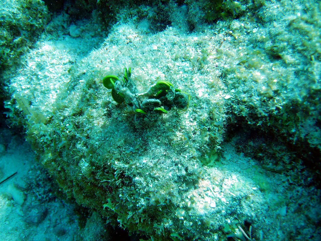 Key Largo, Florida