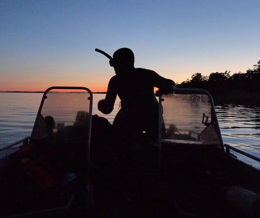 Snorkeling at night with a dive light