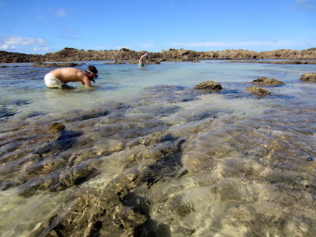 Hawaii / North Shore: Snorkeling at Shark's Cove, Oahu