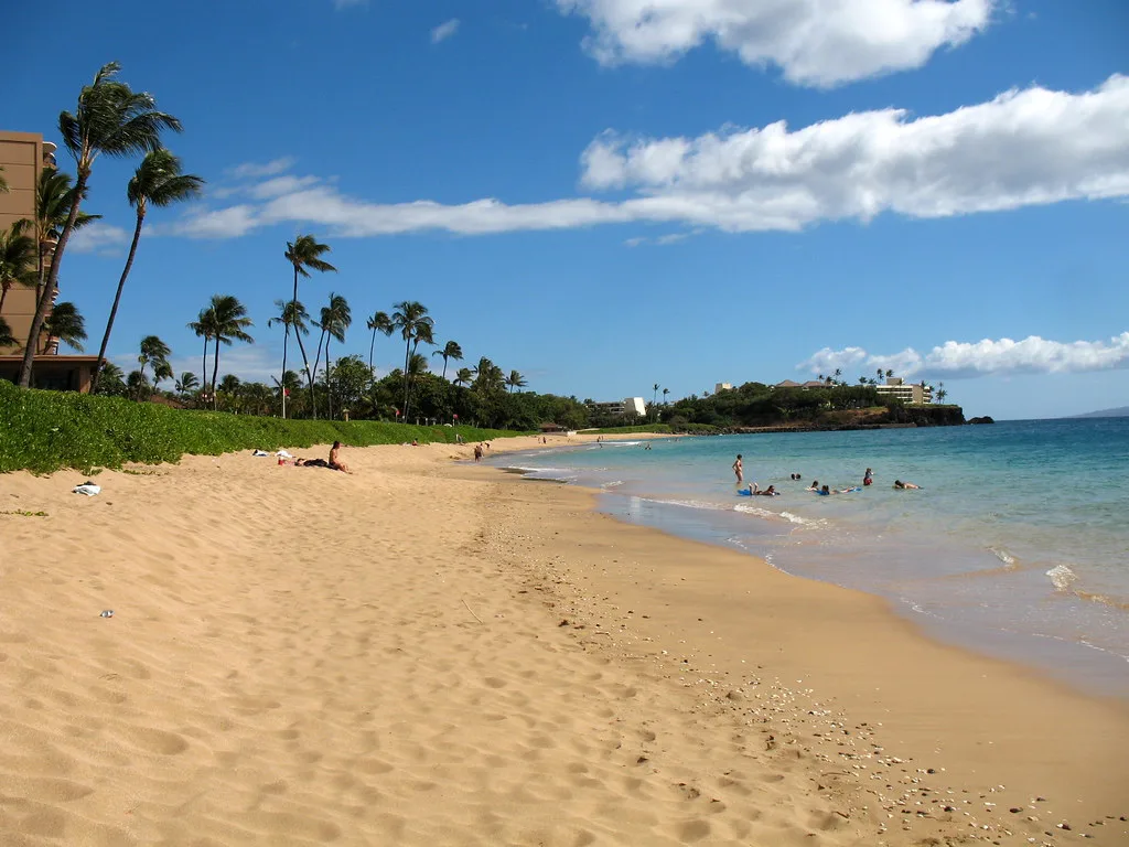 Palm-lined sandy beach on Maui, Hawaii