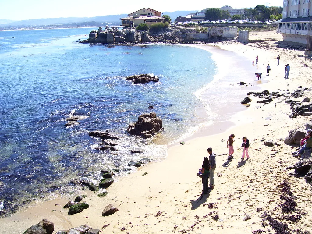 Beach in Monterey