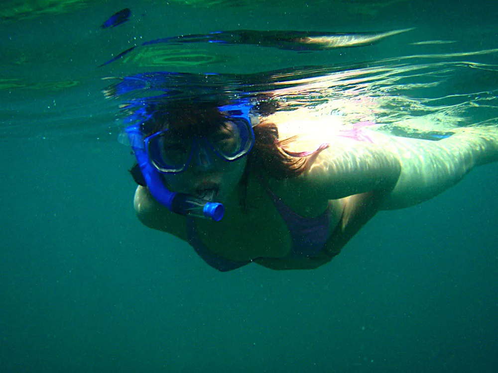 Snorkeler gliding underwater in a mask and snorkel