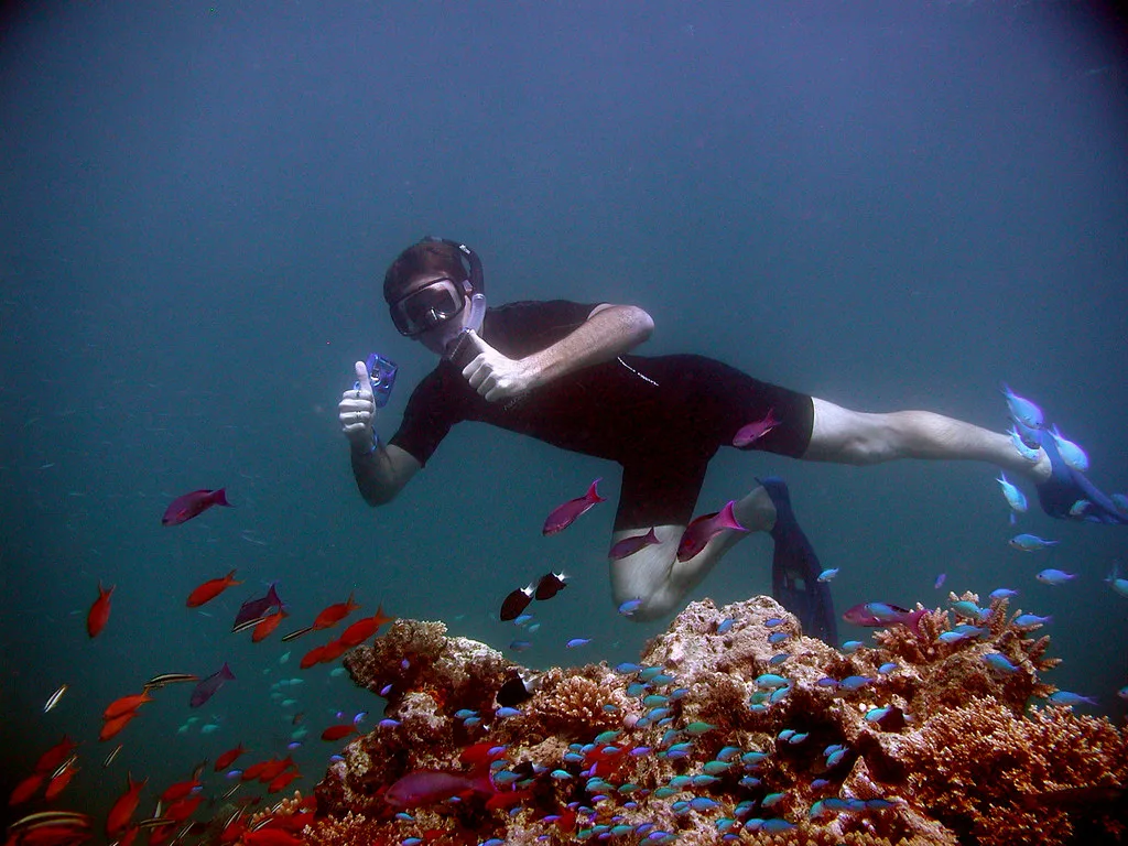 Snorkeler in a rash guard over a coral reef