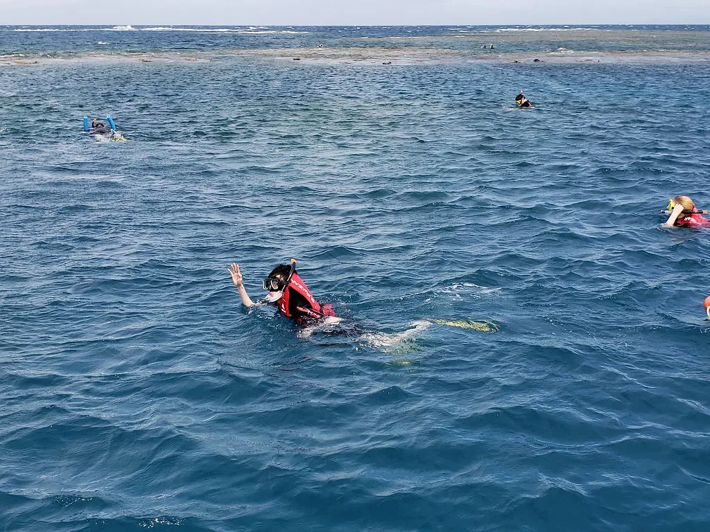 Snorkelers swimming in open water