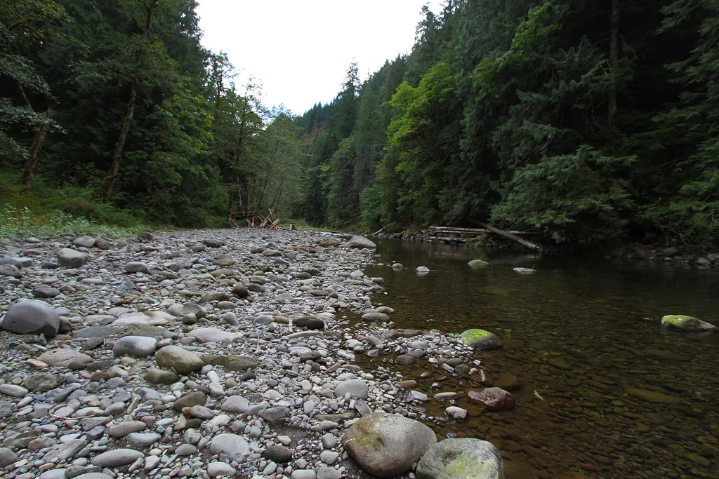 Rocky riverbed on the Salmon River