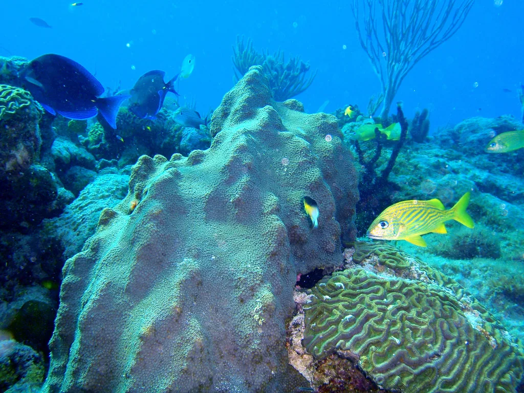 Playa del Carmen, Mexico