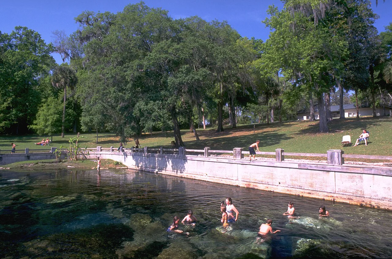 Swimmers in the clear water of Salt Springs, Ocala National Forest, Florida