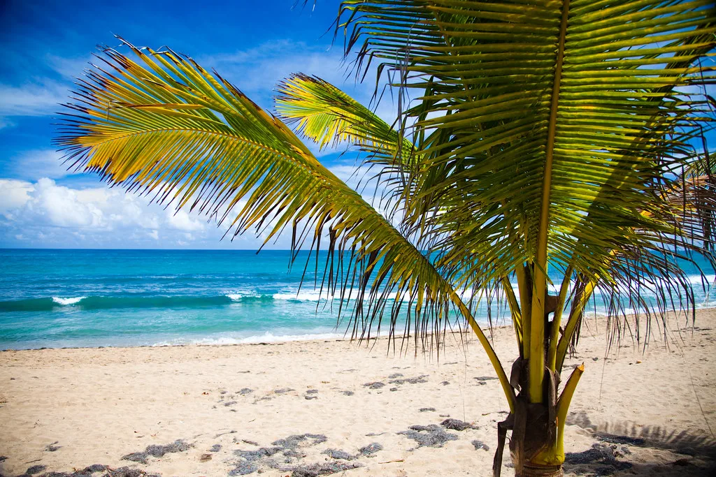Condado Beach, San Juan, Puerto Rico