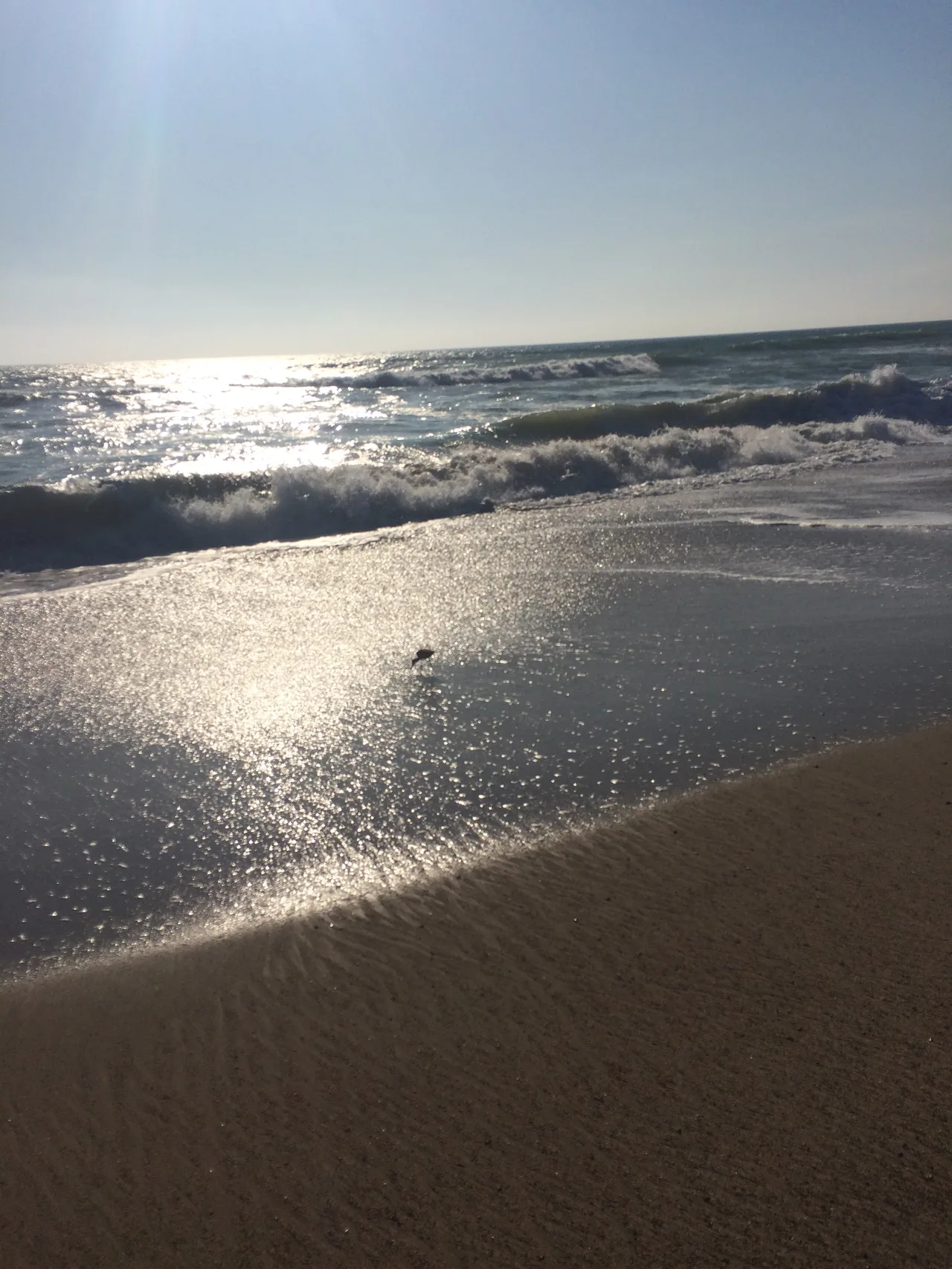 Ventura County, Channel Islands