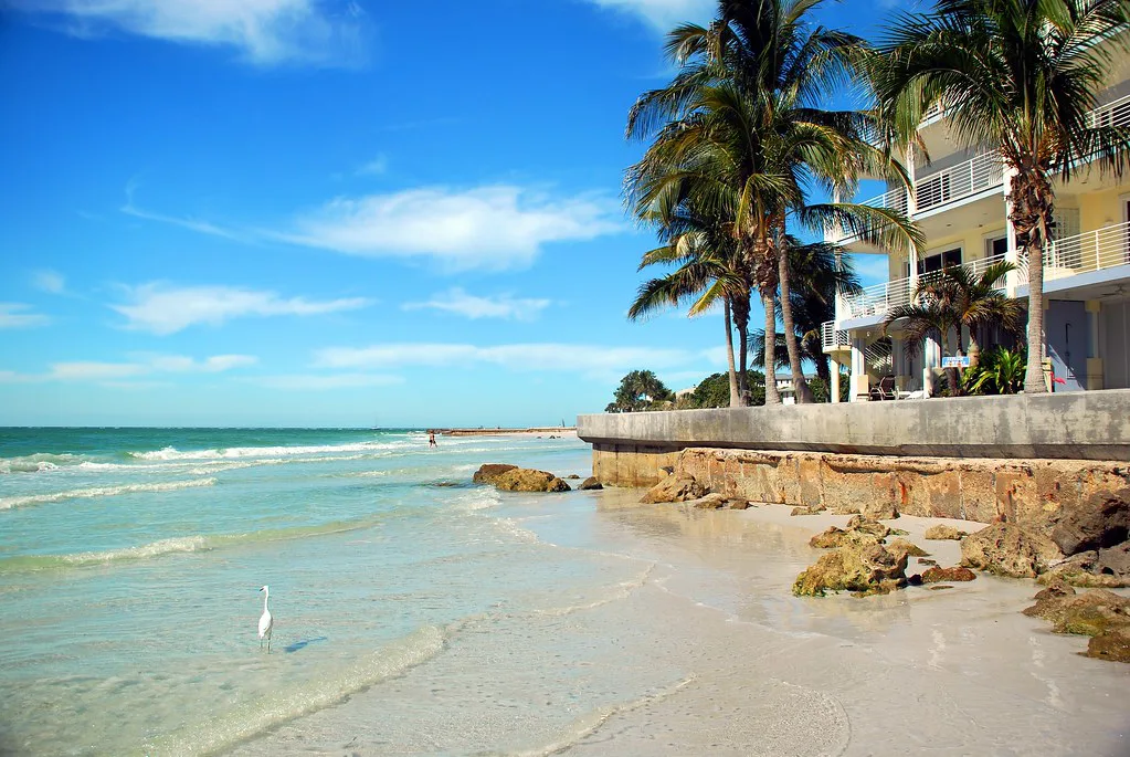 Sun of Sarasota