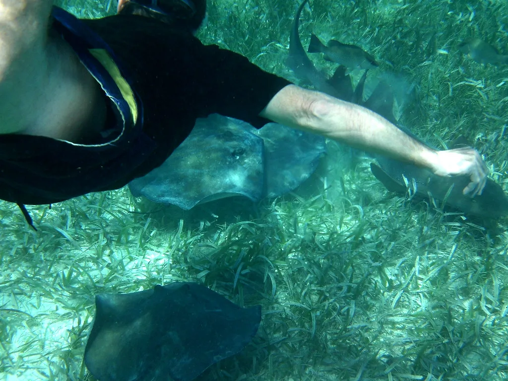 Snorkeling, Belize