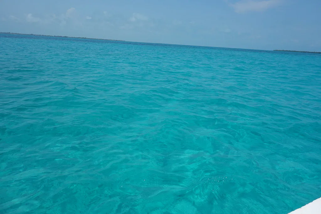 Belize: Snorkeling trip, Caye Caulker