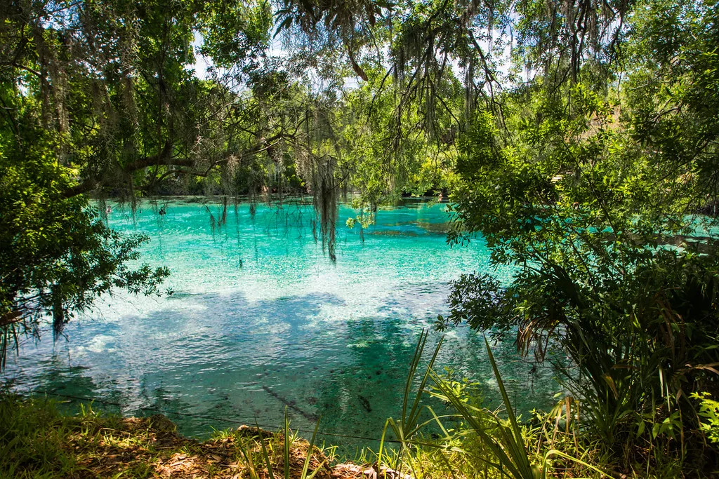 Silver Glen Springs, Florida