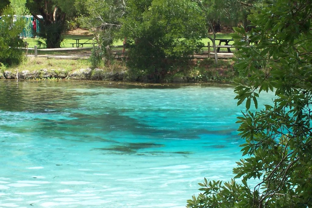 Silver Glen Springs, Ocala National Forest, Florida