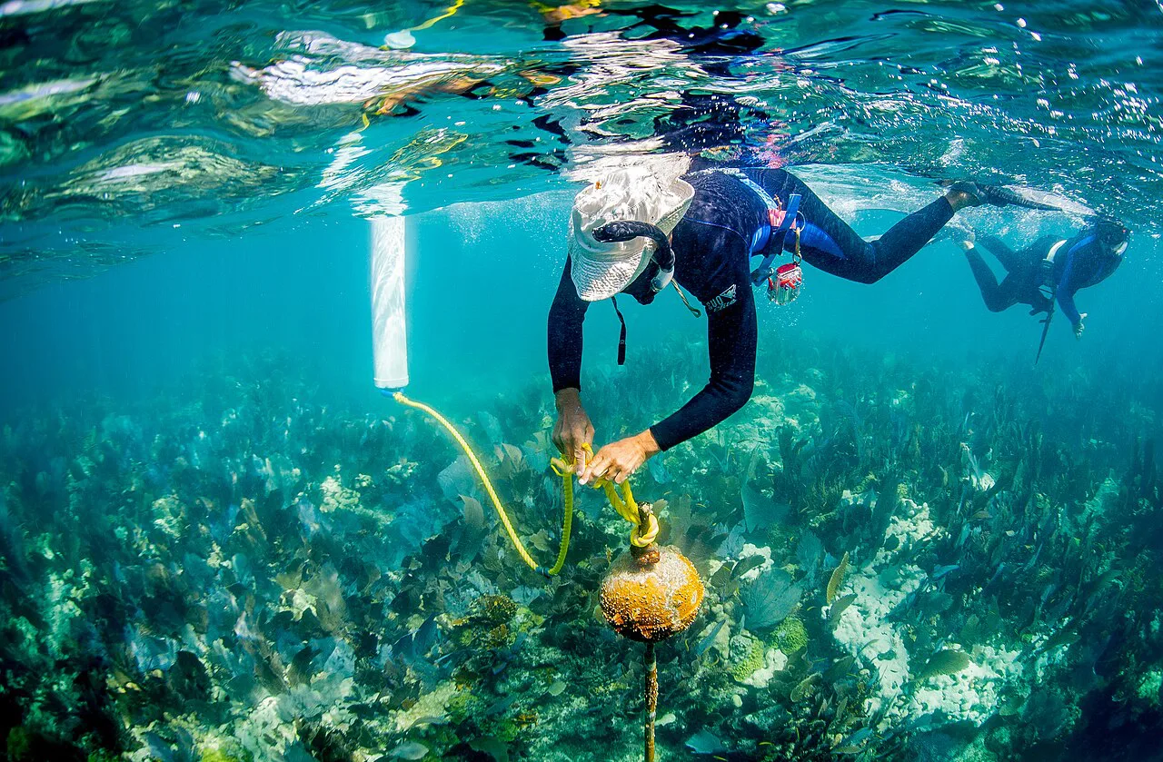 Florida Keys National Marine Sanctuary buoy team
