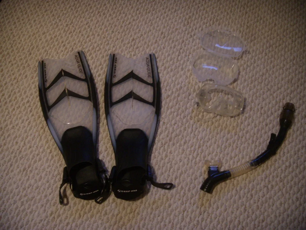 Fins, mask and snorkel