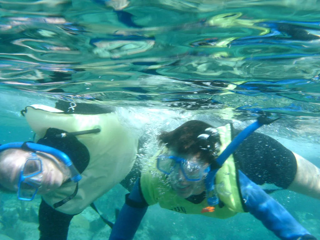 Snorkeler in clear water, illustrating snorkel gear for beginners