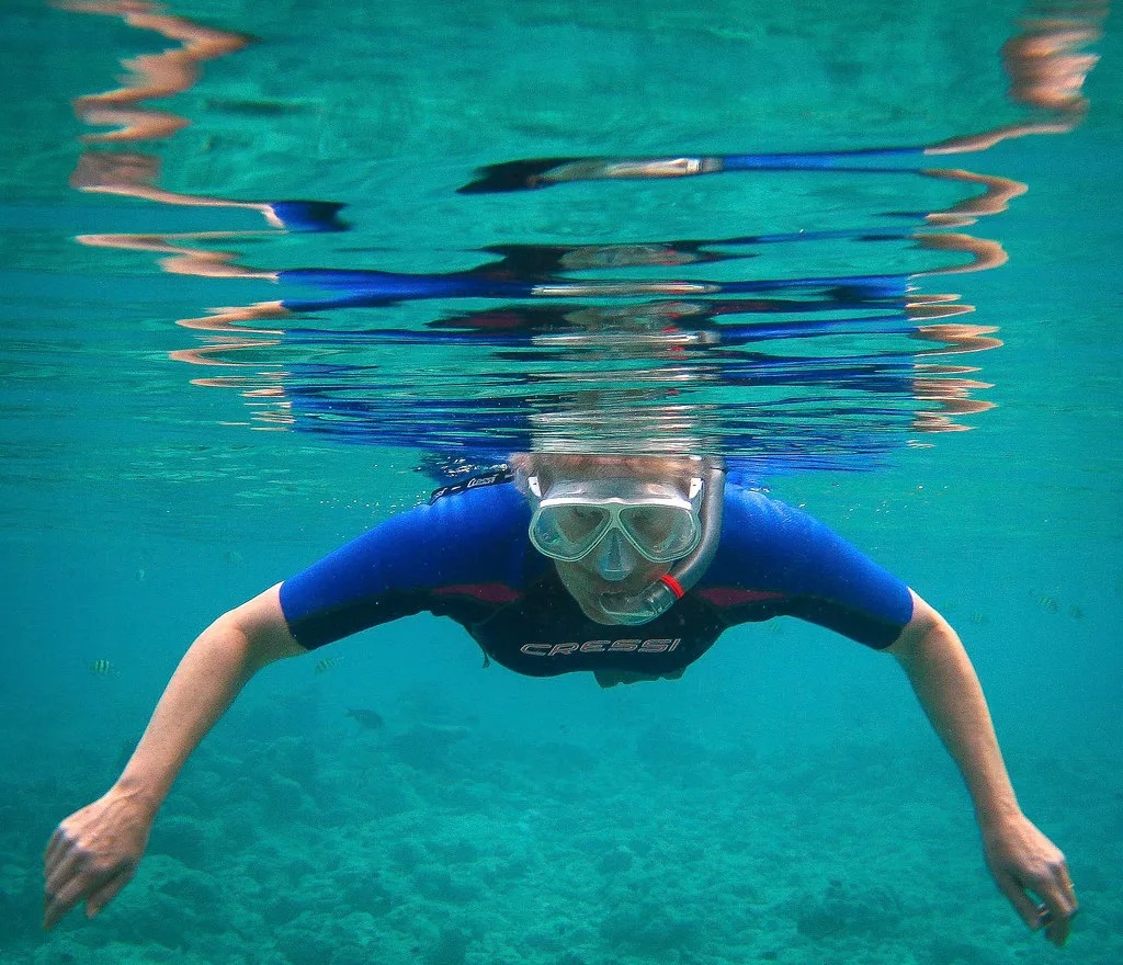 The snorkeller