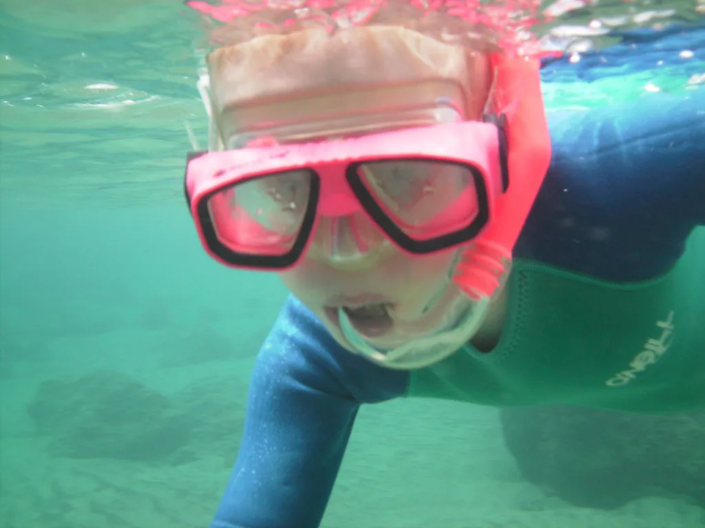Snorkeler in clear water, illustrating snorkel gear rental