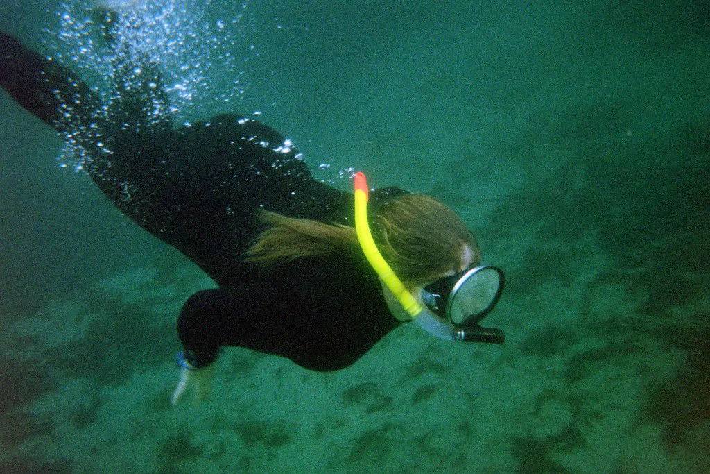Snorkeler diving with a yellow snorkel