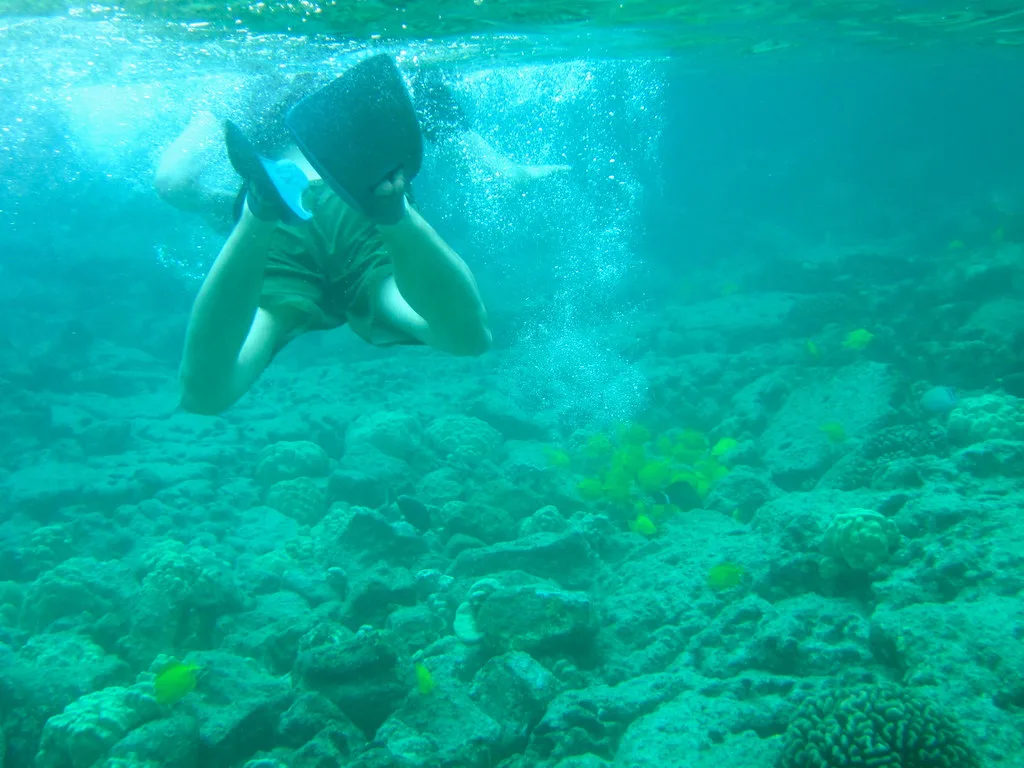 First time snorkeling over a rocky bottom