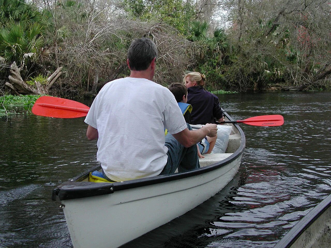 Canoeing the Wekiva River below Wekiwa Springs, Florida