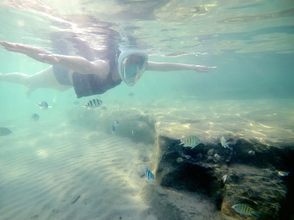 Snorkeler gliding over a rocky bottom