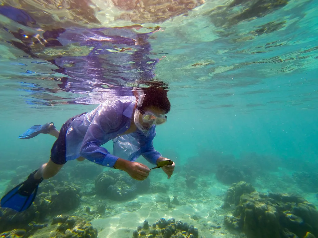 Surin Islands