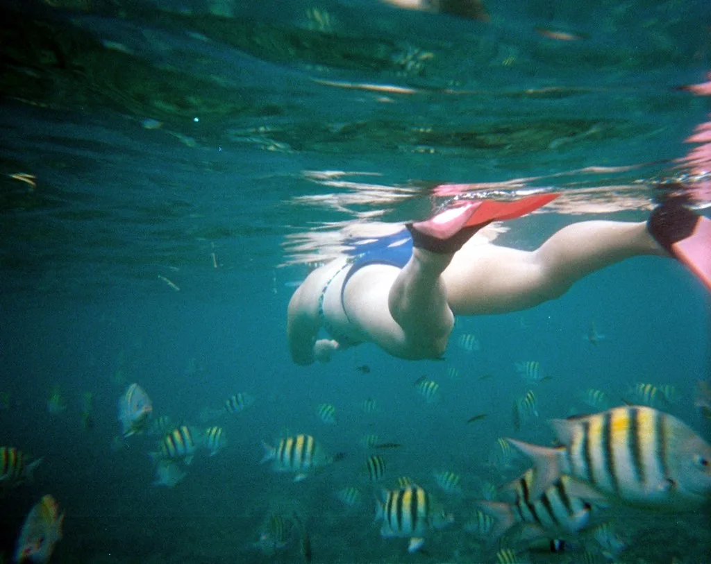 Snorkeler among reef fish at Bayahibe, Dominican Republic