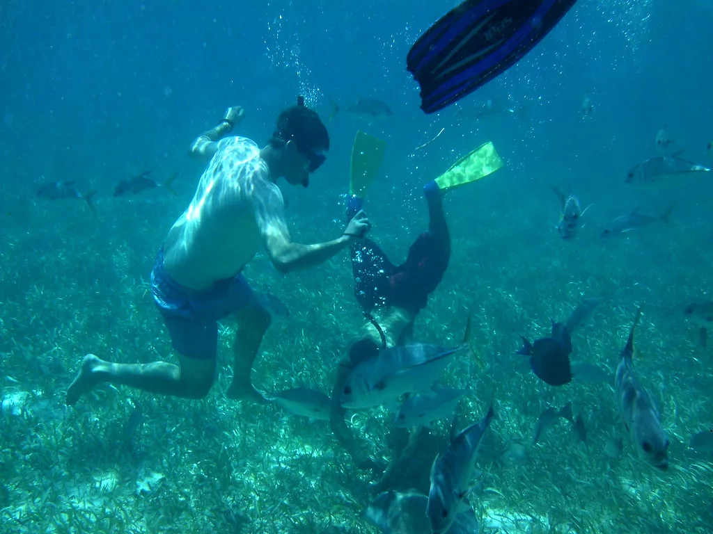 Snorkeling in Belize