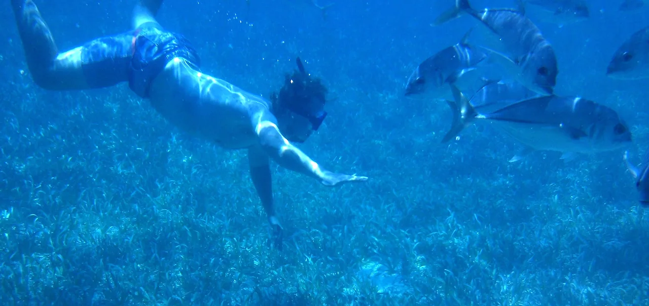 Snorkeling, Belize