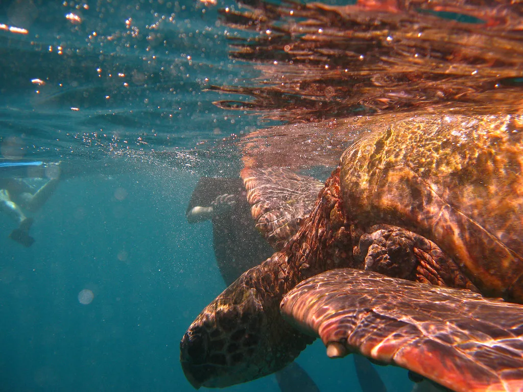 Maui, Hawaii